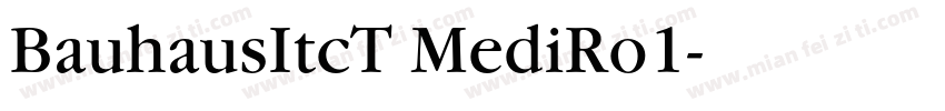 BauhausItcT MediRo1字体转换
